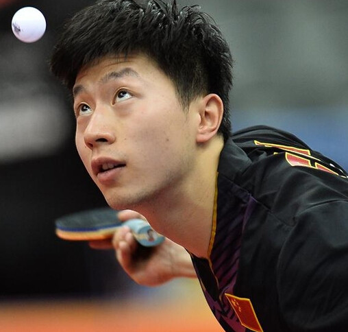 她们在世界 她们在世界